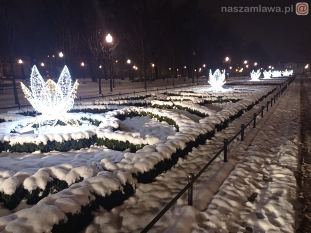 Świąteczne iluminacje w parku