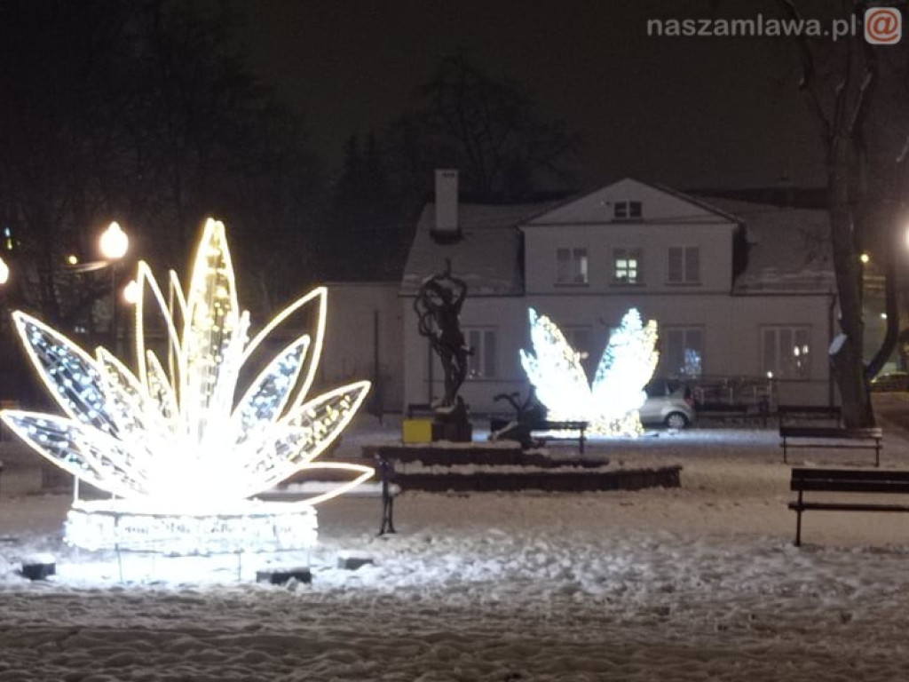 Świąteczne iluminacje w parku