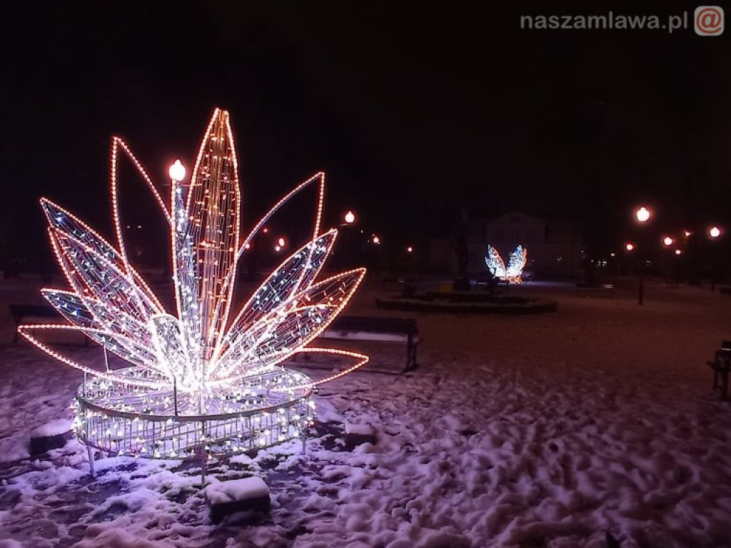 Świąteczne iluminacje w parku