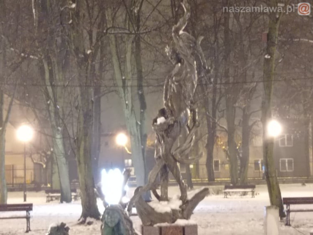 Świąteczne iluminacje w parku