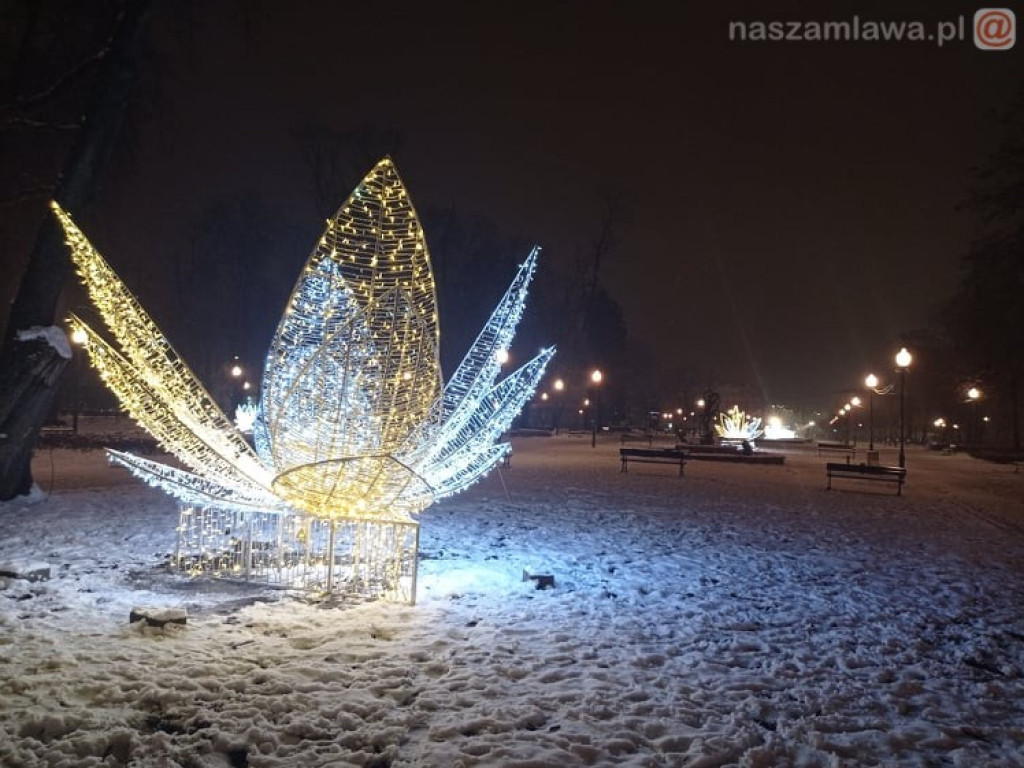 Świąteczne iluminacje w parku