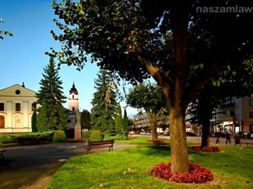 Mława taka piękna [ZDJĘCIA]