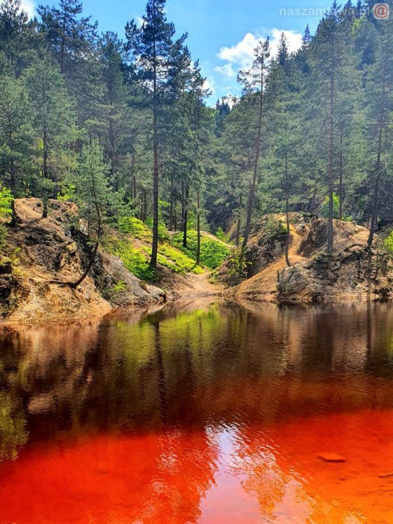 Prawdziwe piękno [ZDJĘCIA CZYTELNIKA]