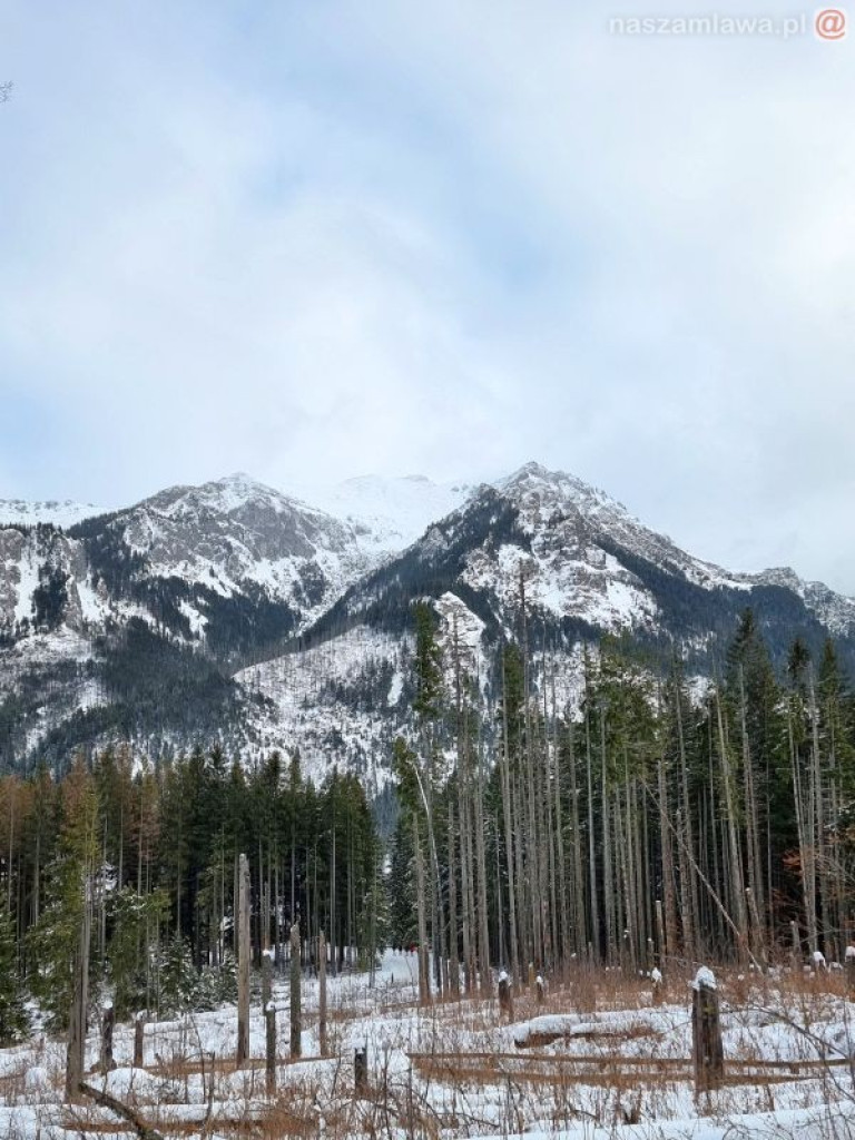 Prawdziwe piękno [ZDJĘCIA CZYTELNIKA]