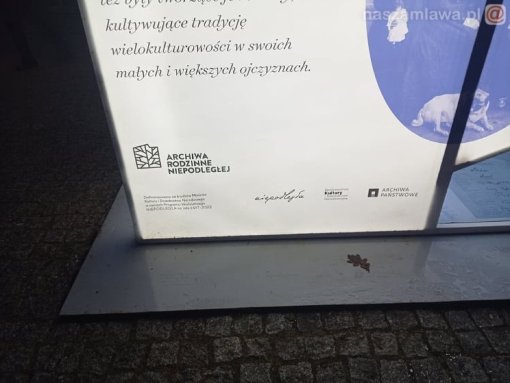 Takie widoki w Mławie wandalom już przeszkadzają