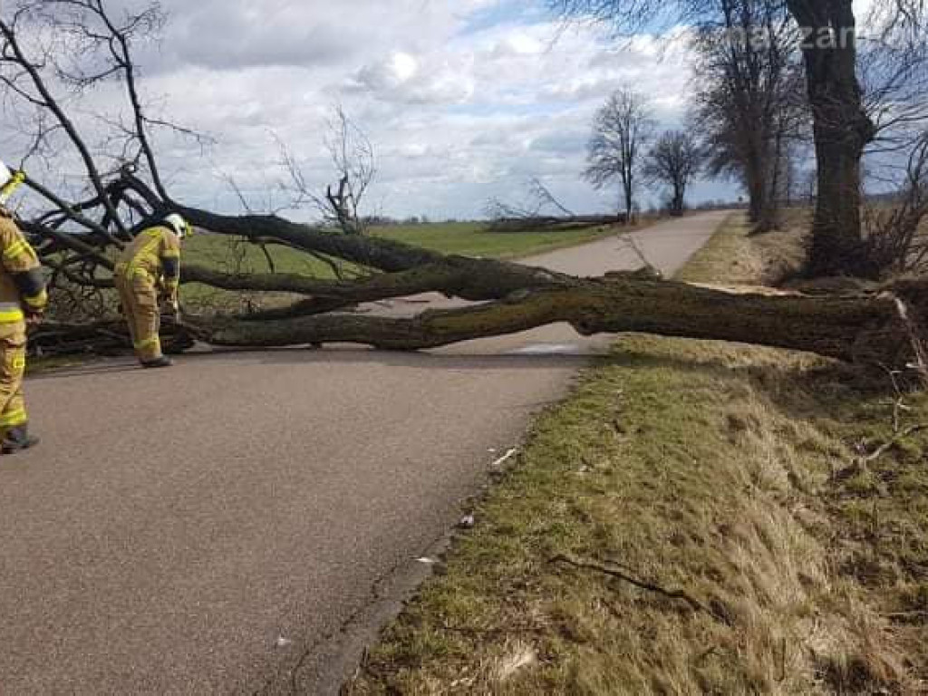 ZDJĘCIA zniszczeń i interwencji strażackich nadesłane przez czytelników
