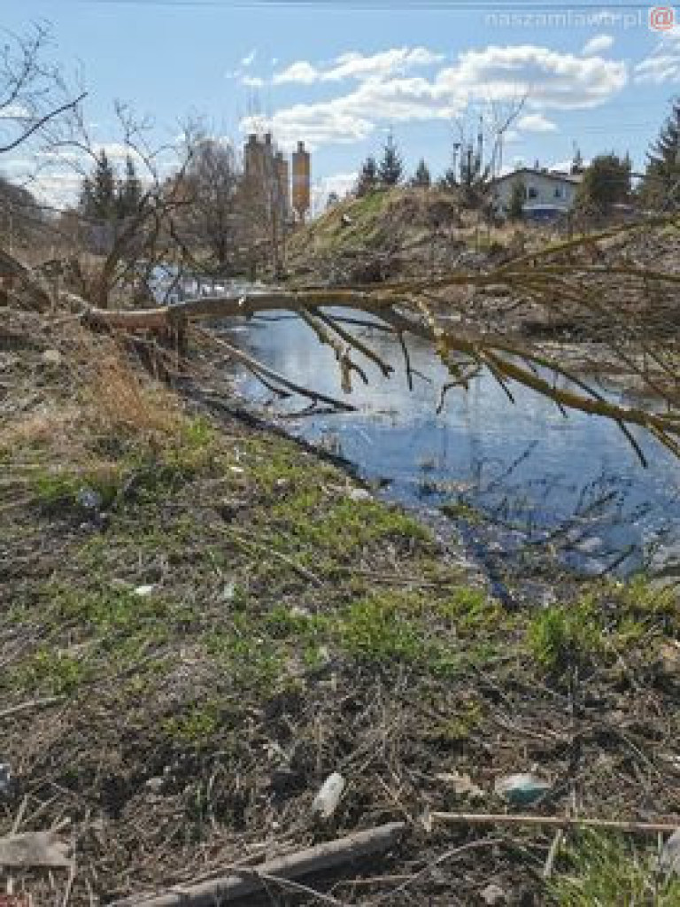 Niech ktoś się za to weźmie, bo wstyd!