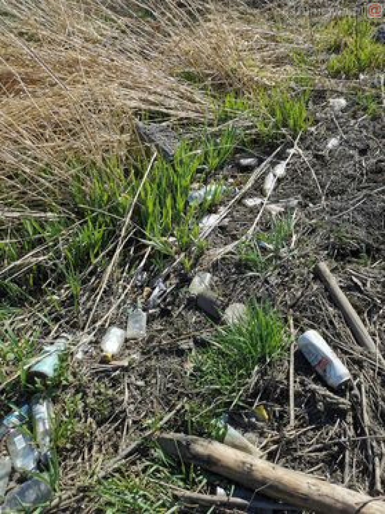 Niech ktoś się za to weźmie, bo wstyd!