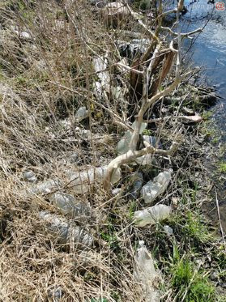 Niech ktoś się za to weźmie, bo wstyd!