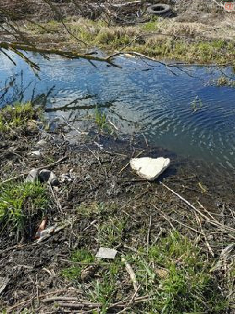 Niech ktoś się za to weźmie, bo wstyd!