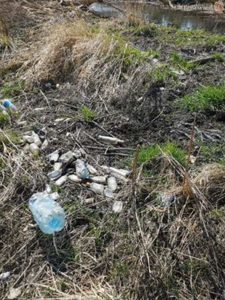 Niech ktoś się za to weźmie, bo wstyd!