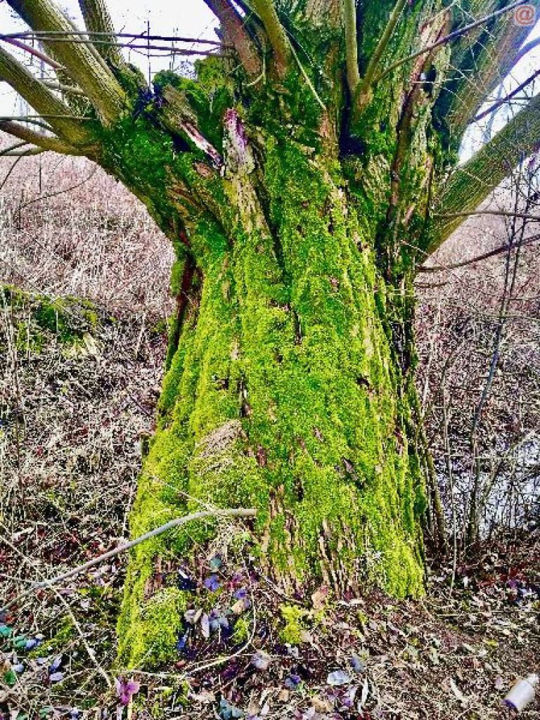 Na dwóch krańcach świata. Wernisaż w Galerii 13