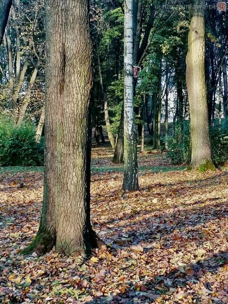 Na dwóch krańcach świata. Wernisaż w Galerii 13