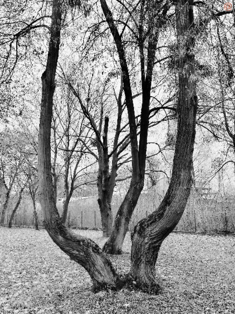 Na dwóch krańcach świata. Wernisaż w Galerii 13