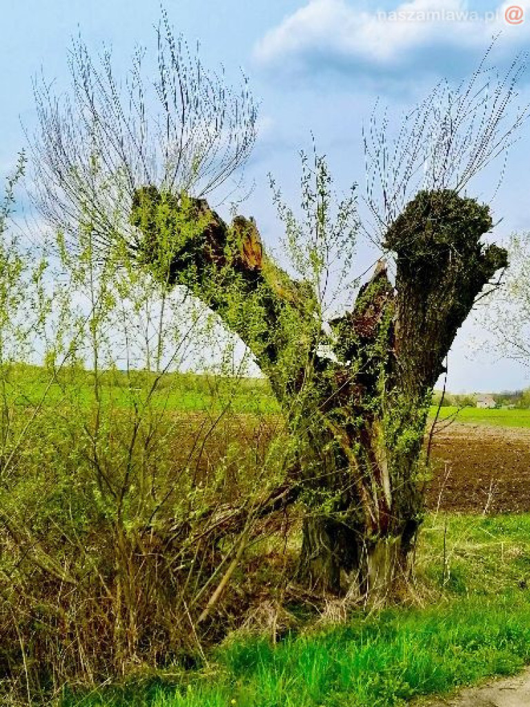 Na dwóch krańcach świata. Wernisaż w Galerii 13