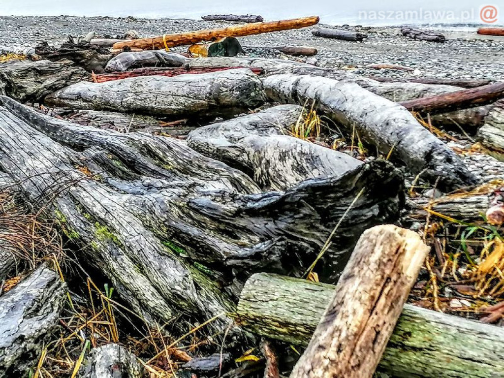 Na dwóch krańcach świata. Wernisaż w Galerii 13