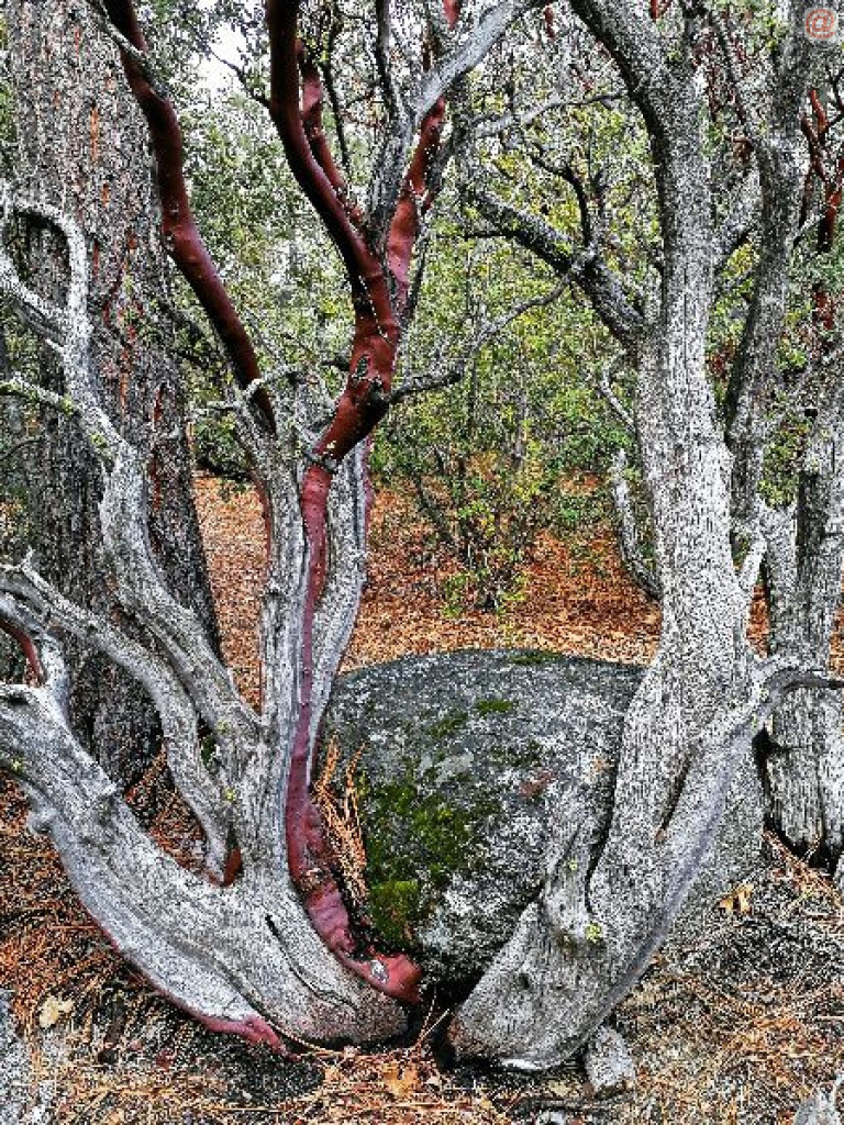 Na dwóch krańcach świata. Wernisaż w Galerii 13