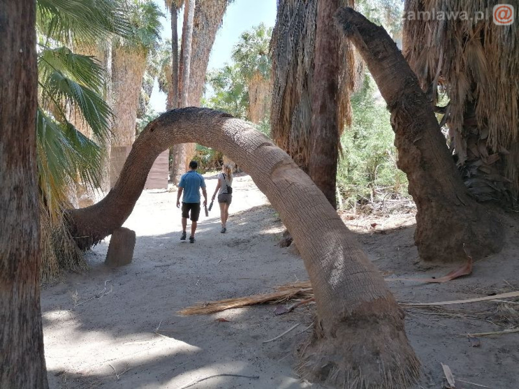 Na dwóch krańcach świata. Wernisaż w Galerii 13