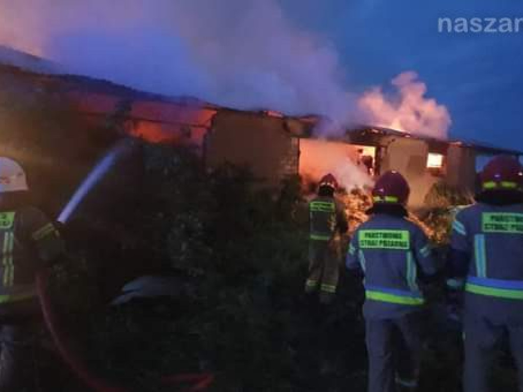 Nocna akcja do świtu [ZDJĘCIA]