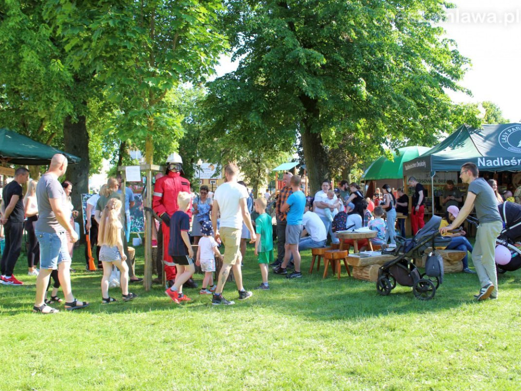 Takich tłumów w parku dawno nie było