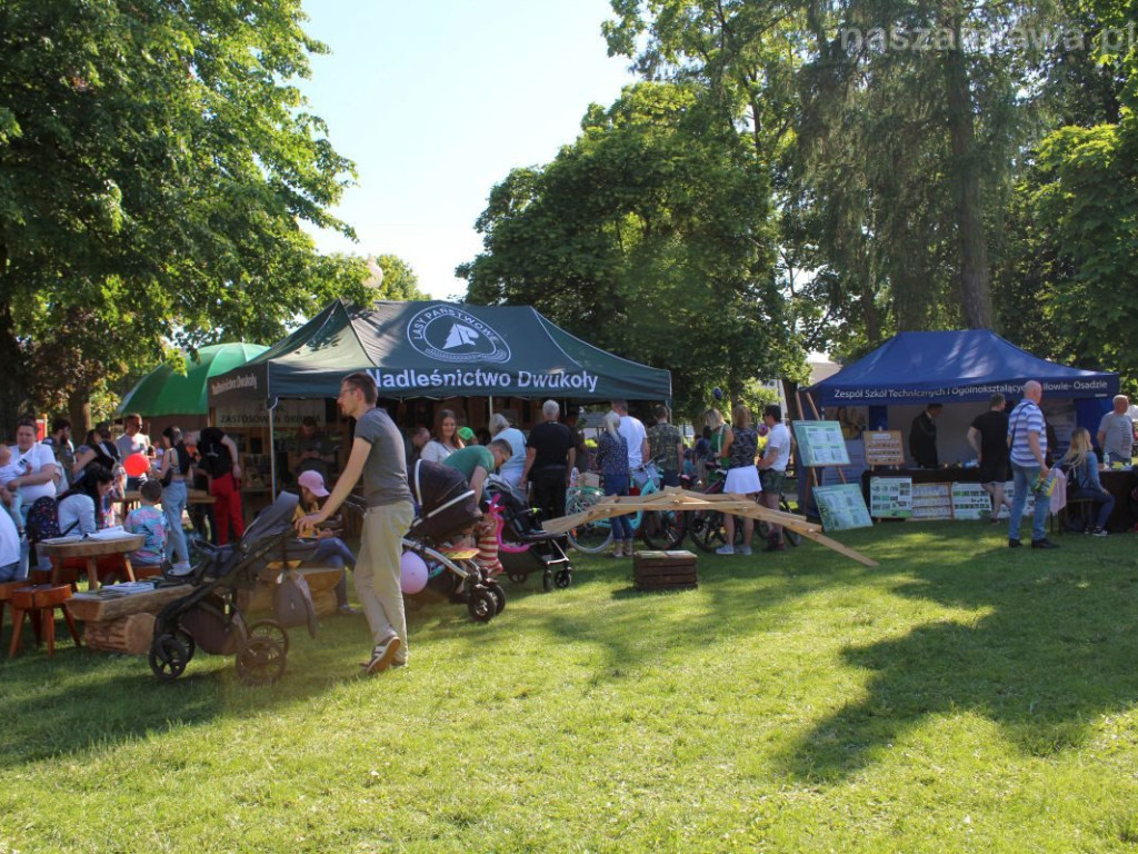 Takich tłumów w parku dawno nie było