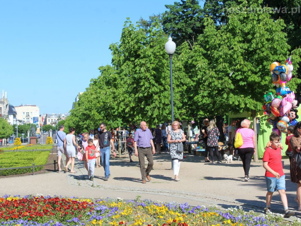 Takich tłumów w parku dawno nie było