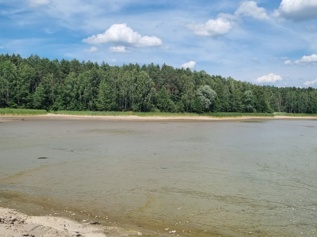 Smród, martwe ryby. Tam kąpią się dzieci