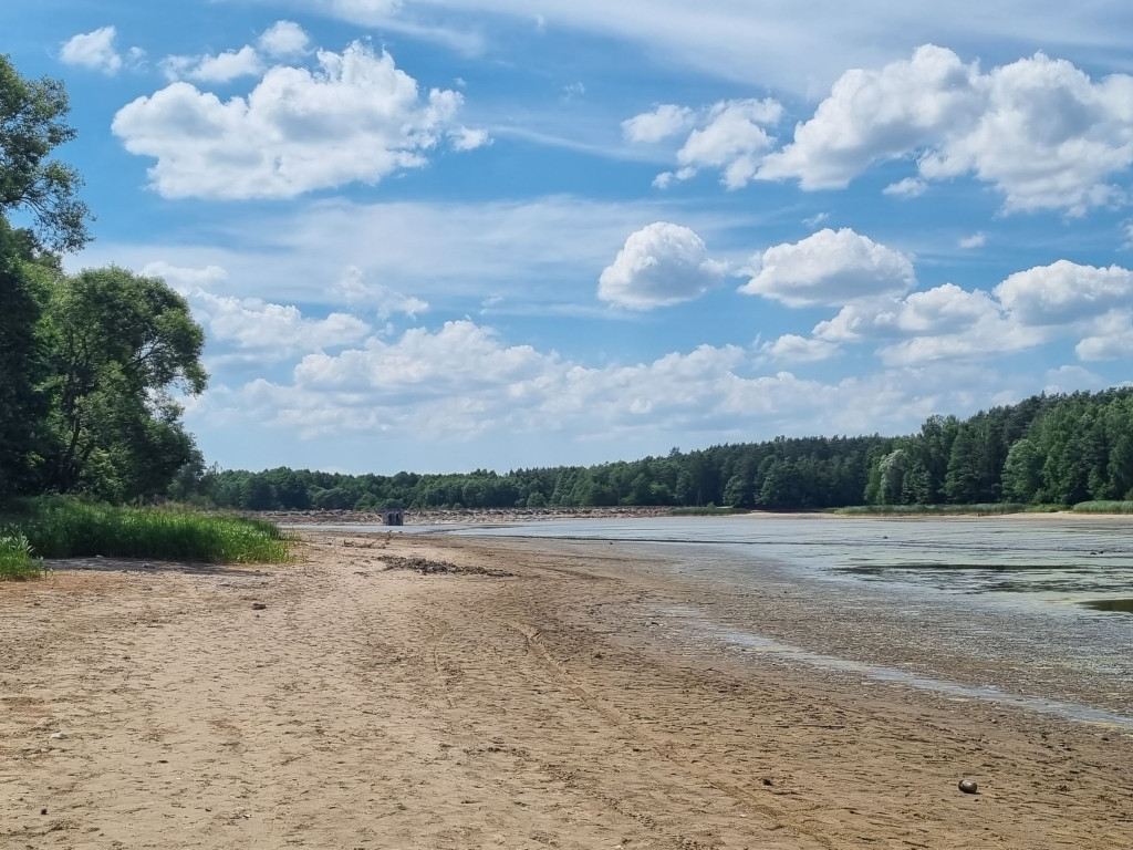 Smród, martwe ryby. Tam kąpią się dzieci