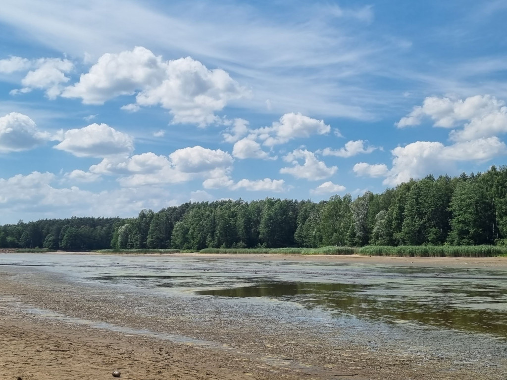 Smród, martwe ryby. Tam kąpią się dzieci