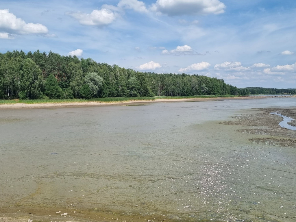 Smród, martwe ryby. Tam kąpią się dzieci