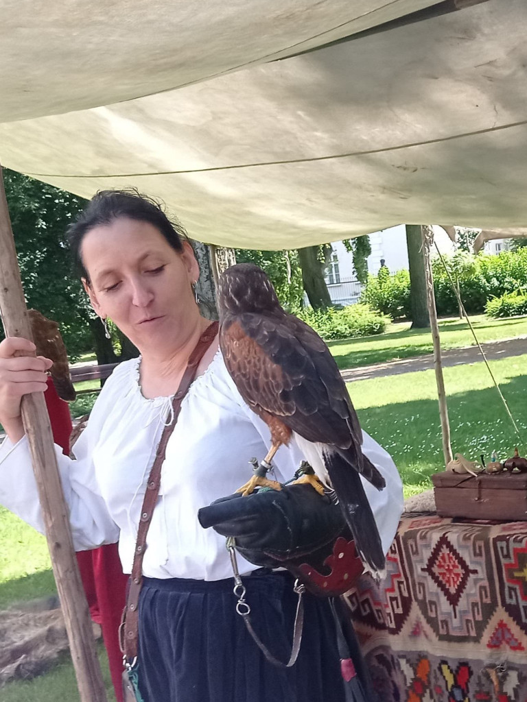 Dni Mławy: Pogoda nie dopisała