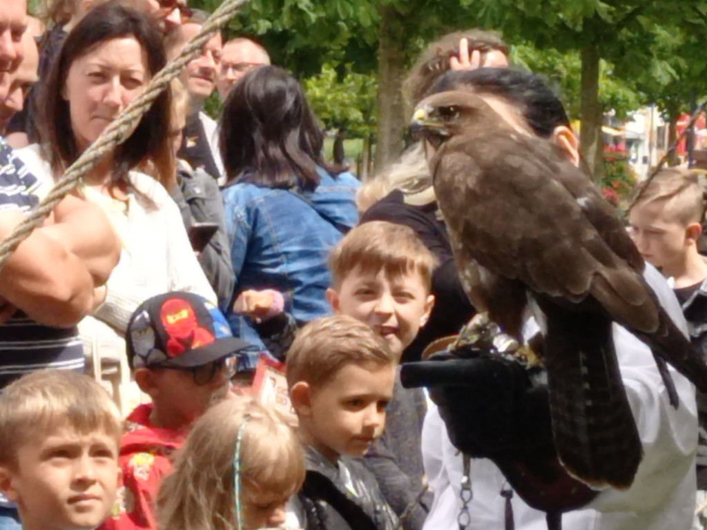 Dni Mławy: Pogoda nie dopisała