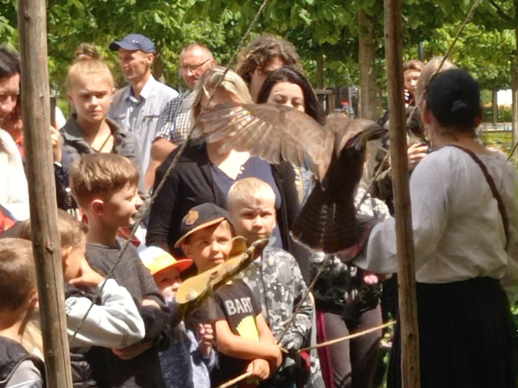 Dni Mławy: Pogoda nie dopisała