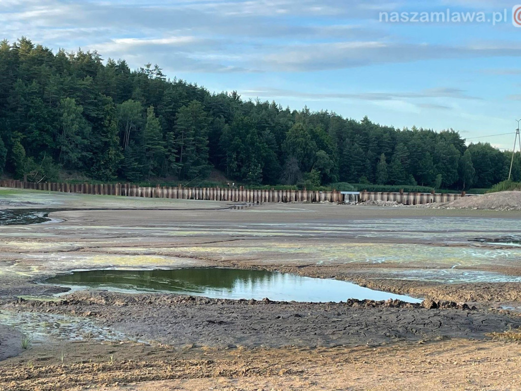 Remont zalewu. Teraz schną drzewa (FOTORELACJA)