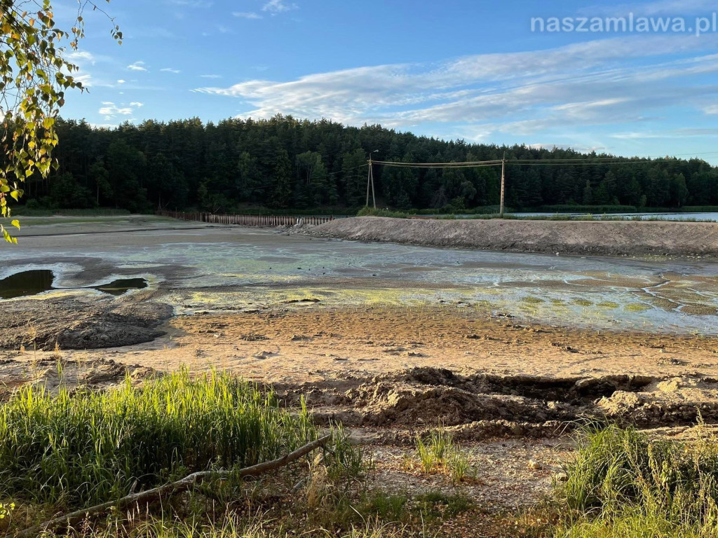 Remont zalewu. Teraz schną drzewa (FOTORELACJA)