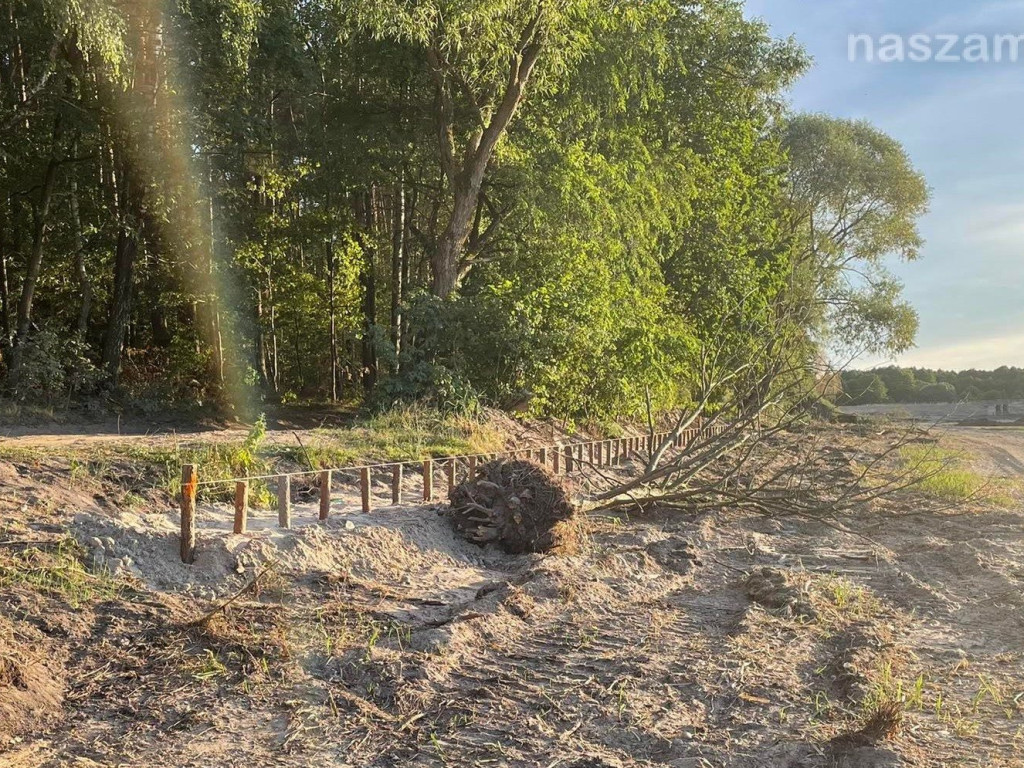 Remont zalewu. Teraz schną drzewa (FOTORELACJA)