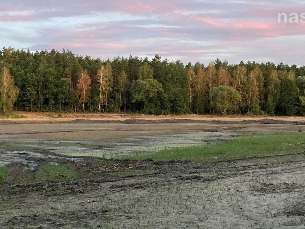 Remont zalewu. Teraz schną drzewa (FOTORELACJA)