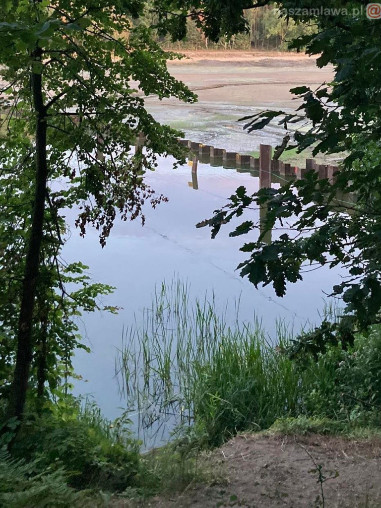 Remont zalewu. Teraz schną drzewa (FOTORELACJA)