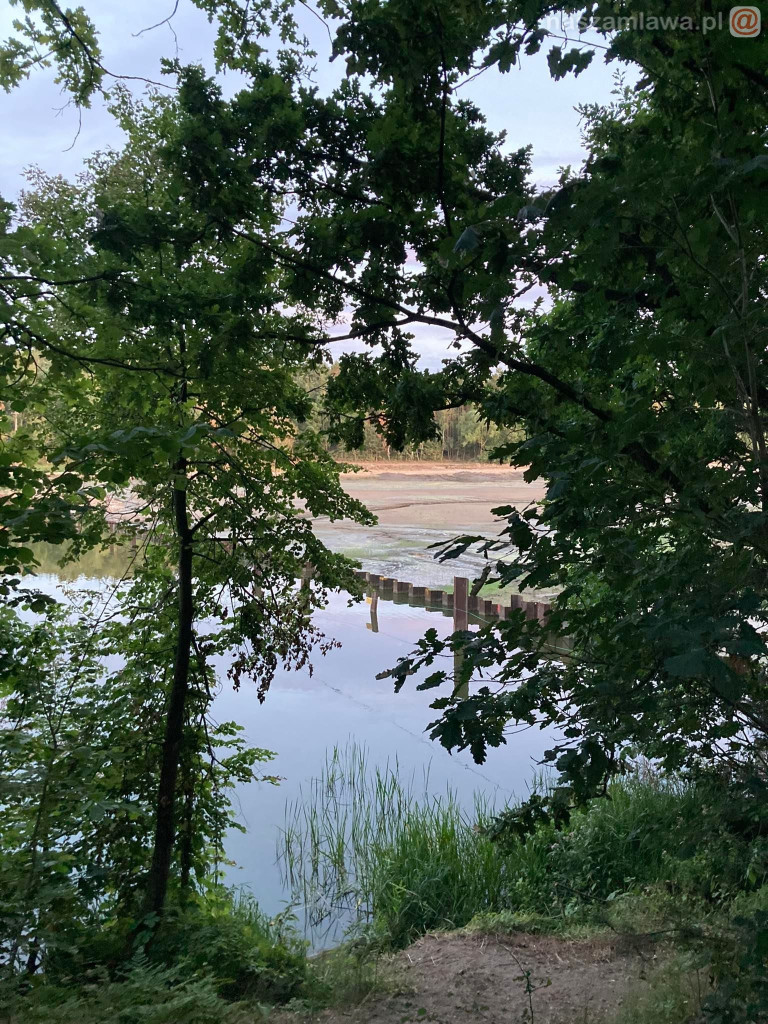 Remont zalewu. Teraz schną drzewa (FOTORELACJA)