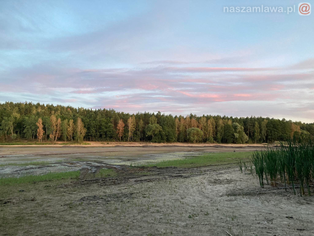 Remont zalewu. Teraz schną drzewa (FOTORELACJA)