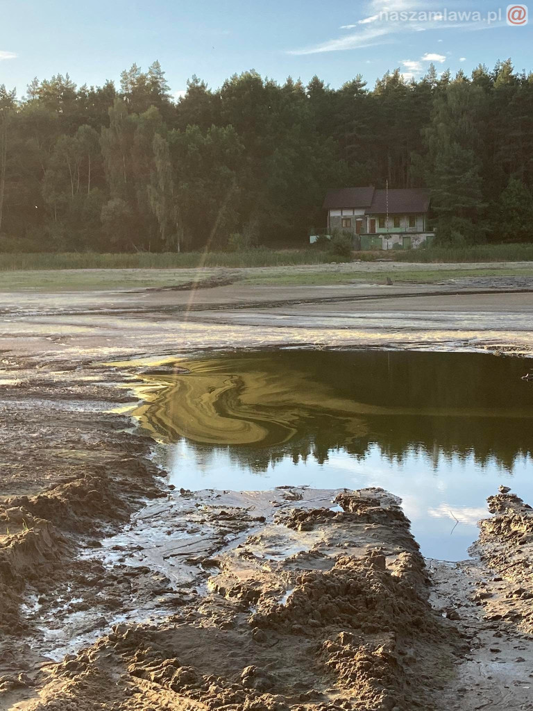 Remont zalewu. Teraz schną drzewa (FOTORELACJA)