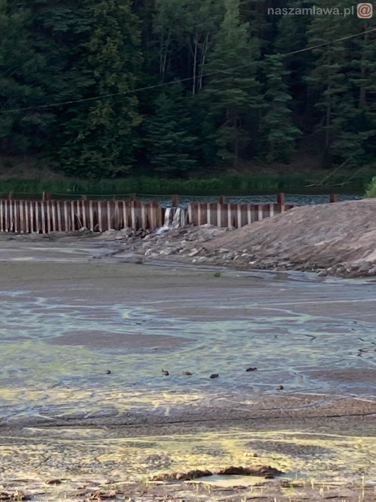Remont zalewu. Teraz schną drzewa (FOTORELACJA)