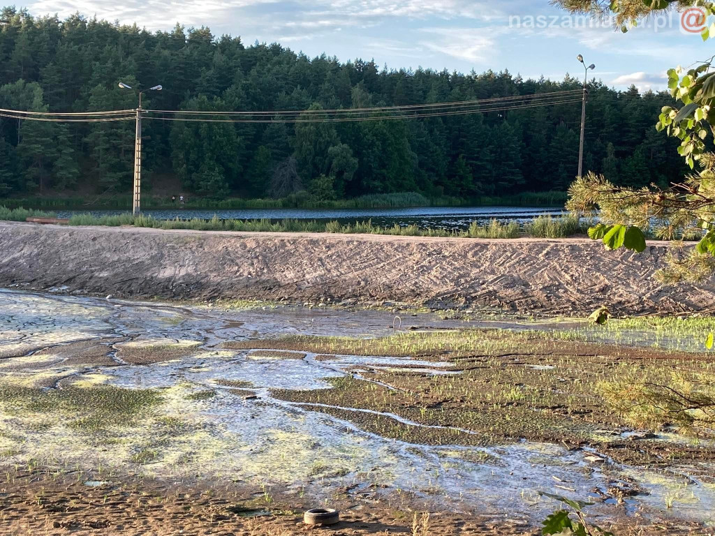 Remont zalewu. Teraz schną drzewa (FOTORELACJA)
