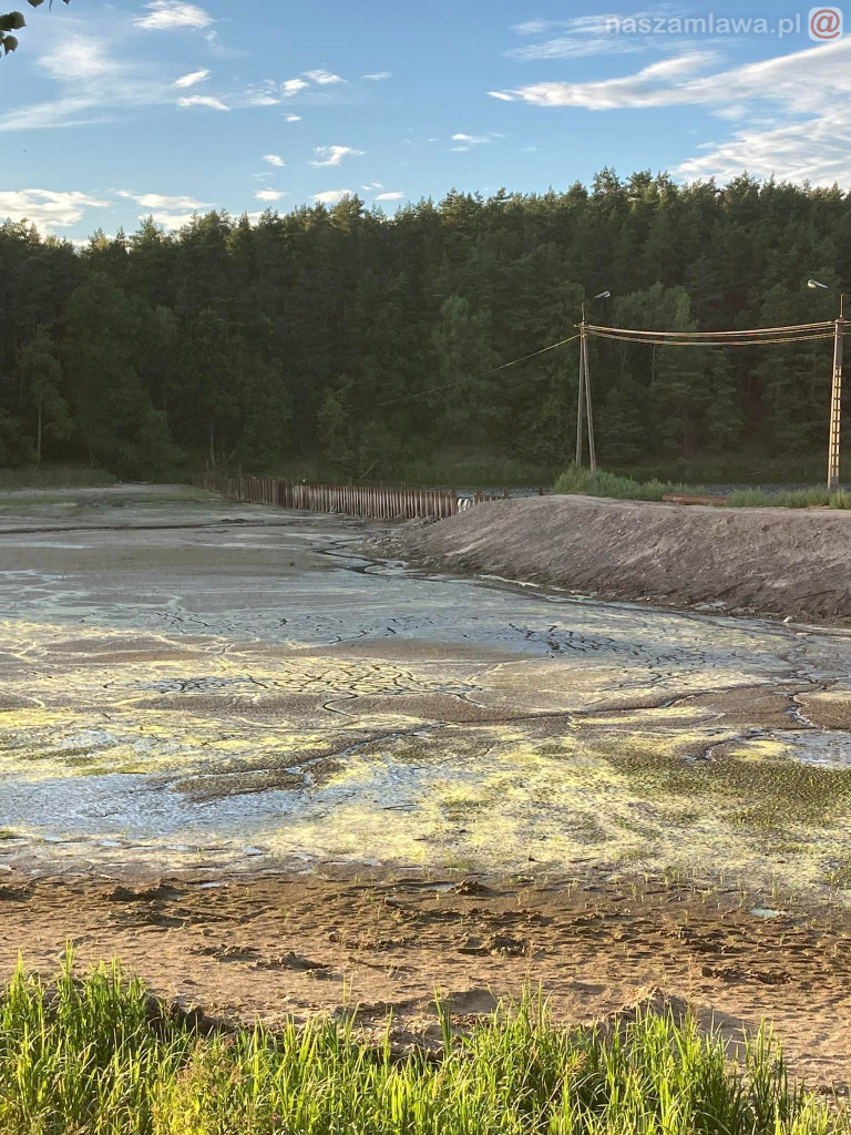 Remont zalewu. Teraz schną drzewa (FOTORELACJA)