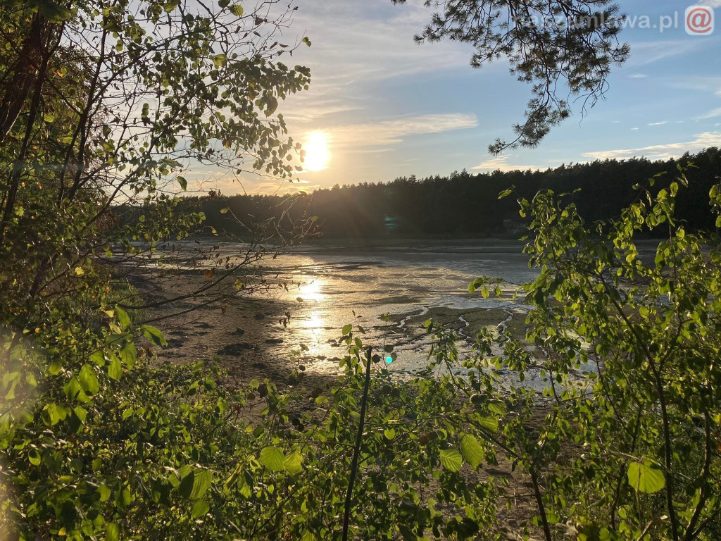 Remont zalewu. Teraz schną drzewa (FOTORELACJA)