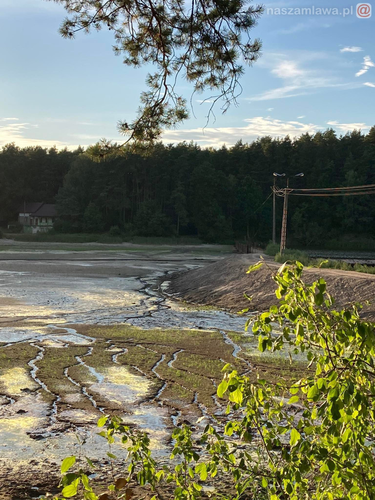 Remont zalewu. Teraz schną drzewa (FOTORELACJA)