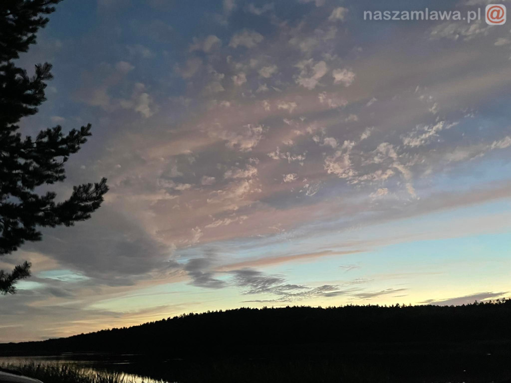 Remont zalewu. Teraz schną drzewa (FOTORELACJA)