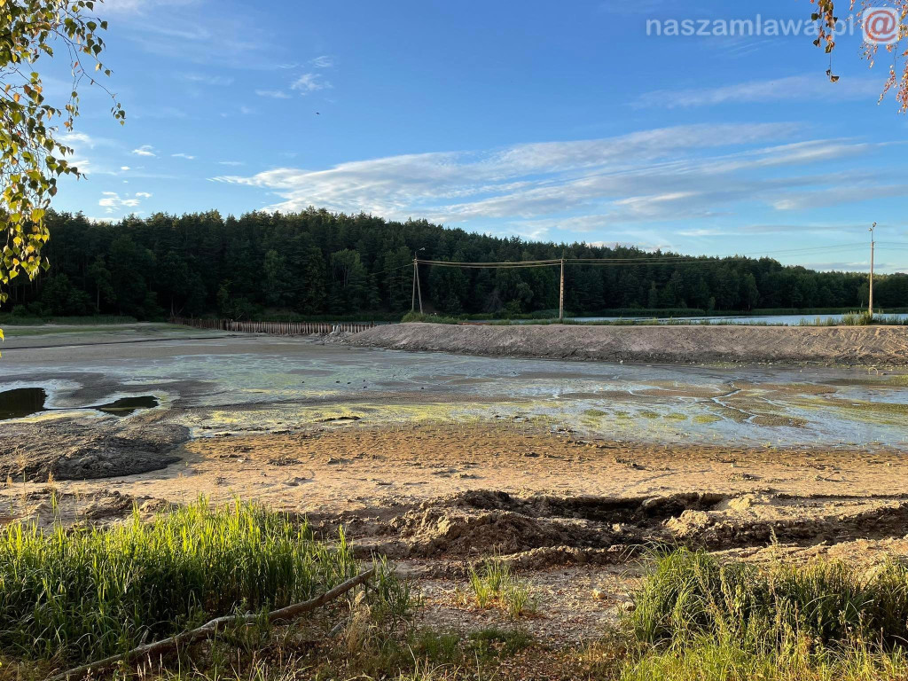 Remont zalewu. Teraz schną drzewa (FOTORELACJA)