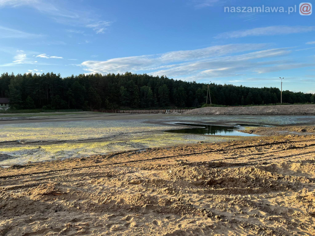Remont zalewu. Teraz schną drzewa (FOTORELACJA)