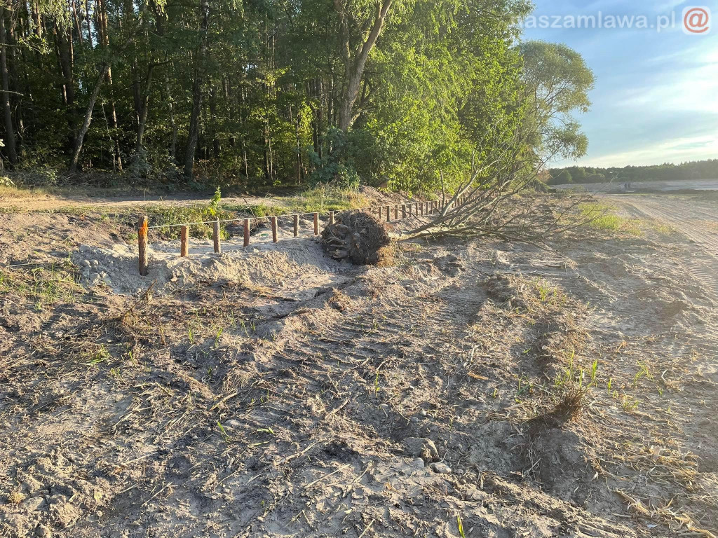Remont zalewu. Teraz schną drzewa (FOTORELACJA)
